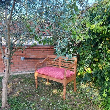 Piscina De Sal Barbacoa Wifi, Parking Gratis, 3 Min Pga Casa El Roble Villa Girona Luaran gambar