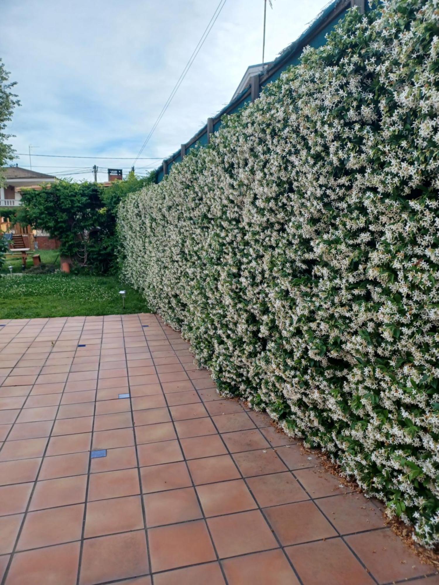 Piscina De Sal Barbacoa Wifi, Parking Gratis, 3 Min Pga Casa El Roble Villa Girona Luaran gambar
